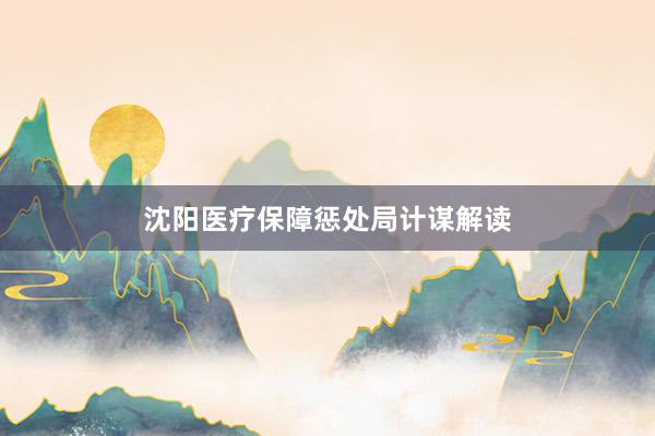 沈阳医疗保障惩处局计谋解读