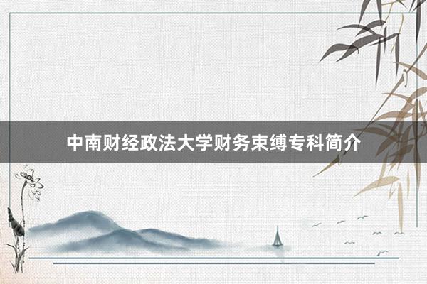 中南财经政法大学财务束缚专科简介
