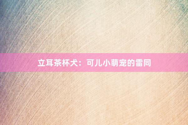 立耳茶杯犬：可儿小萌宠的雷同